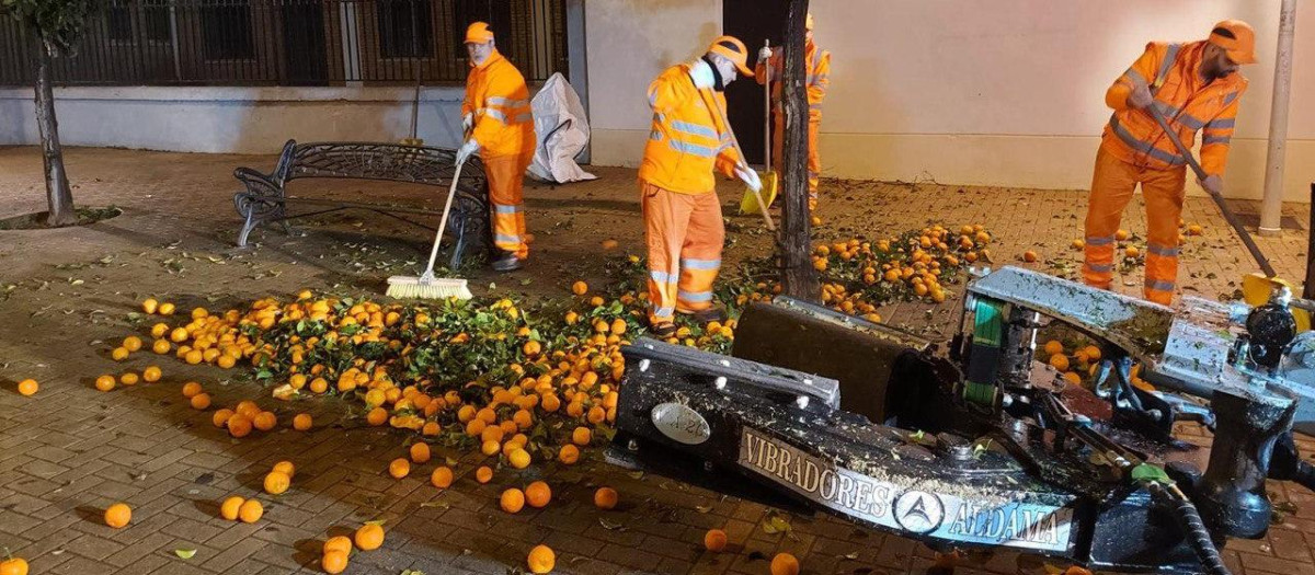 Máquina vibradora usada por Sadeco para la recogida de la naranja