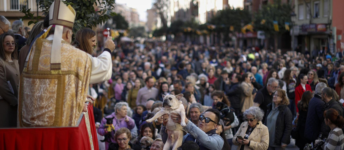 Bendición de animales por la festividad de San Antonio Abad en Valencia