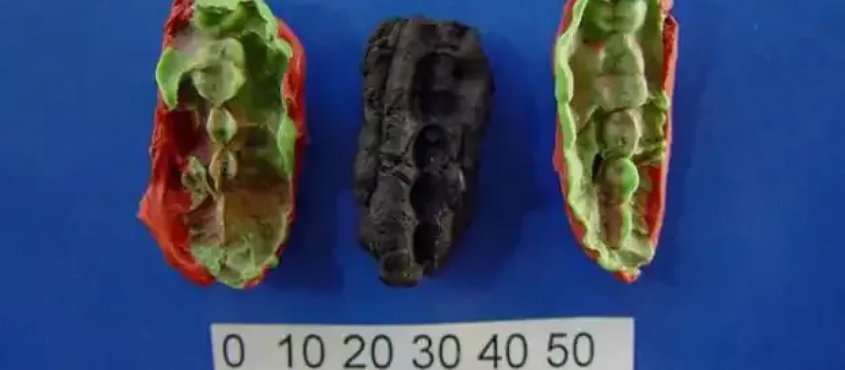 Los moldes de plastelina para uno de los chicles de Huseby Klev