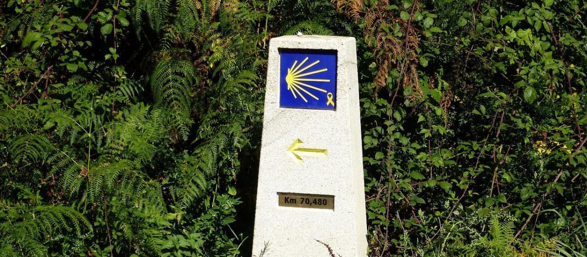 Camino de Santiago, flecha