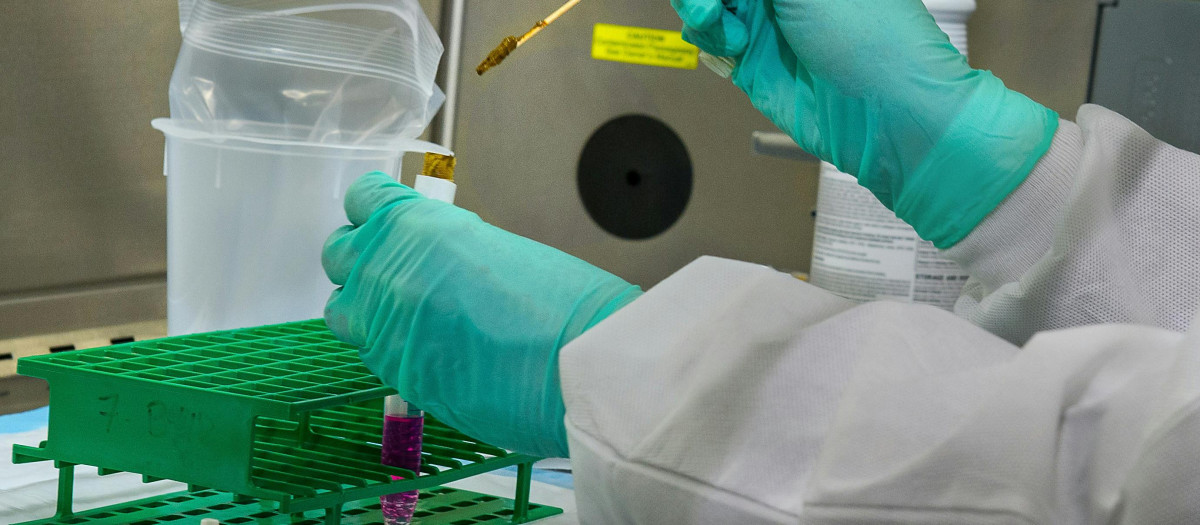 Estudios y ensayos clínicos pretenden encontrar medicamentos que logren retrasar el inicio del Alzheimer