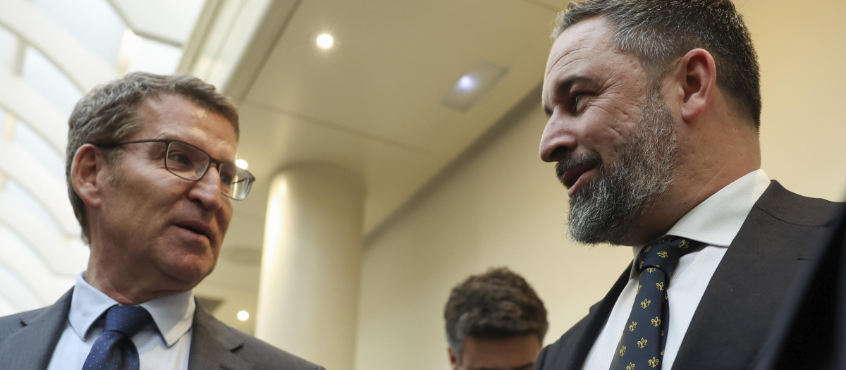 Alberto Núñez Feijóo y Santiago Abascal se saludan en el Senado, en una imagen de archivo