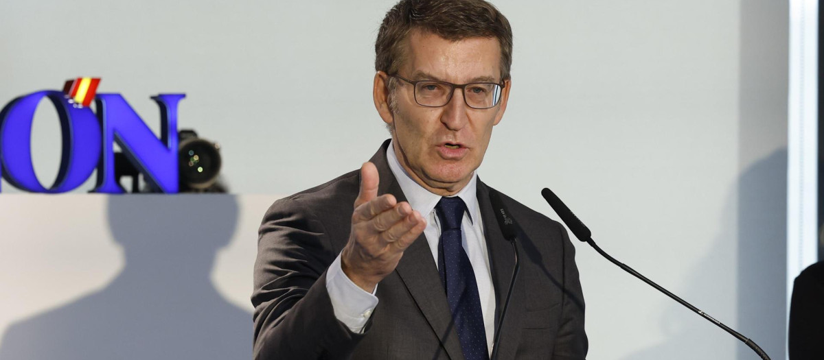 El presidente del PP, Alberto Núñez Feijóo