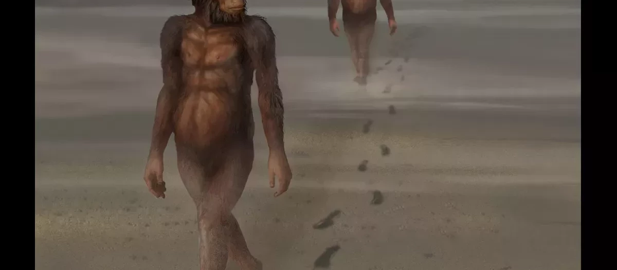 Dos homínidos caminando