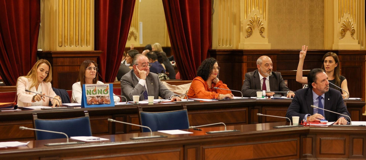 Los diputados de Vox Patricia de las Heras; Manuela Cañadas; Agustí Buades; María José Verdú; Sergio Rodríguez e Idoia Ribas, durante un pleno en el Parlament balear