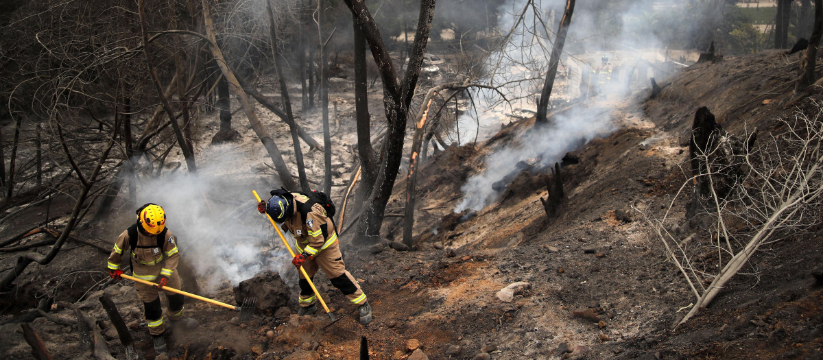Los bomberos trabajan en el Jardín Botánico después de un incendio forestal en Viña del Mar