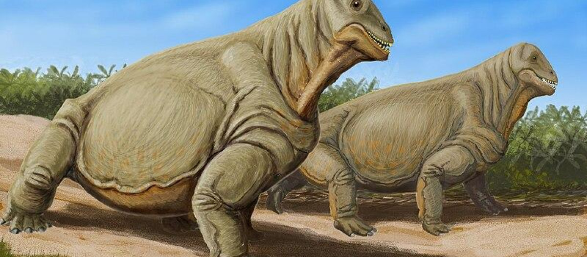 Animales del Pérmico