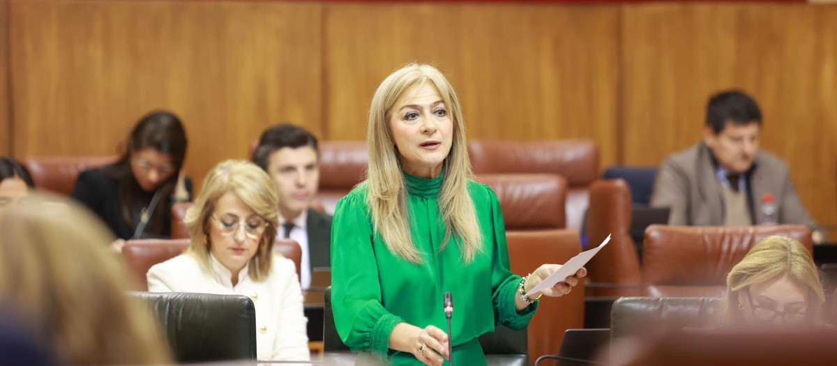 La consejera de Desarrollo Educativo de la Junta, Patricia del Pozo, en el pleno del Parlamento de Andalucía