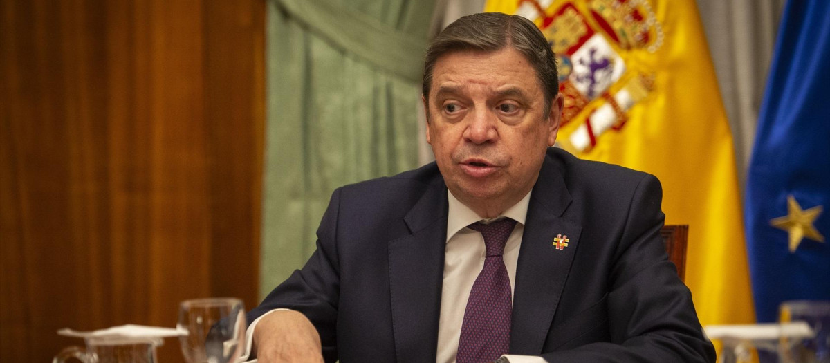 El ministro de Agricultura, Pesca y Alimentación, Luis Planas