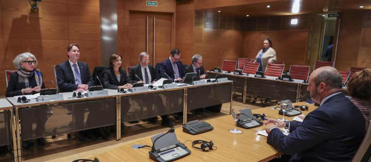 Los miembros de la Comisión de Venecia, en el Senado