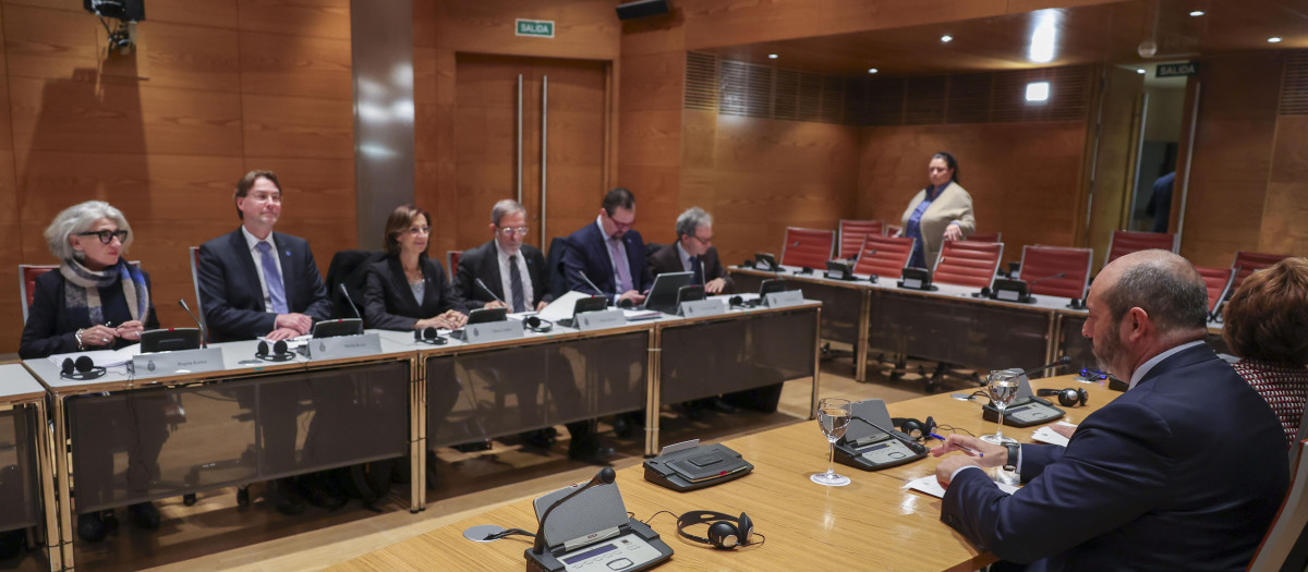 Los miembros de la Comisión de Venecia, en el Senado