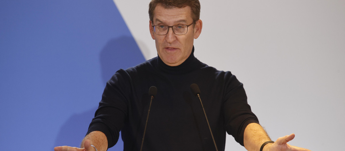 El presidente del PP, Alberto Núñez Feijoo