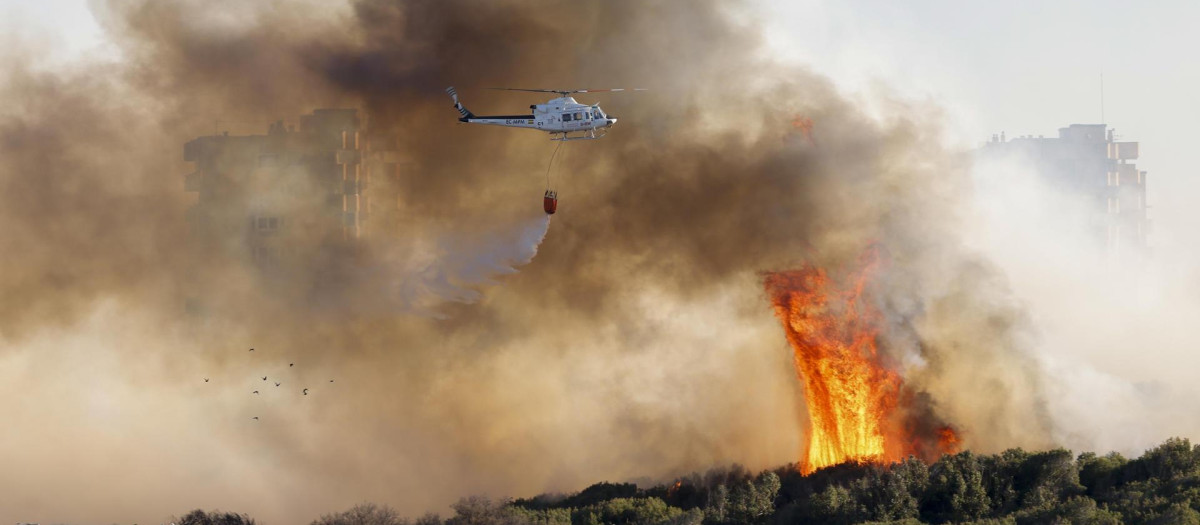 Un helicóptero trabaja en las labores de extinción del incendio forestal declarado a primera hora de la tarde de este lunes en El Saler, en Valencia