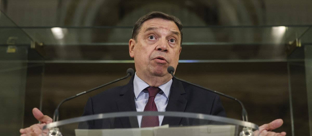 El ministro de Agricultura, Pesca y Alimentación, Luis Planas