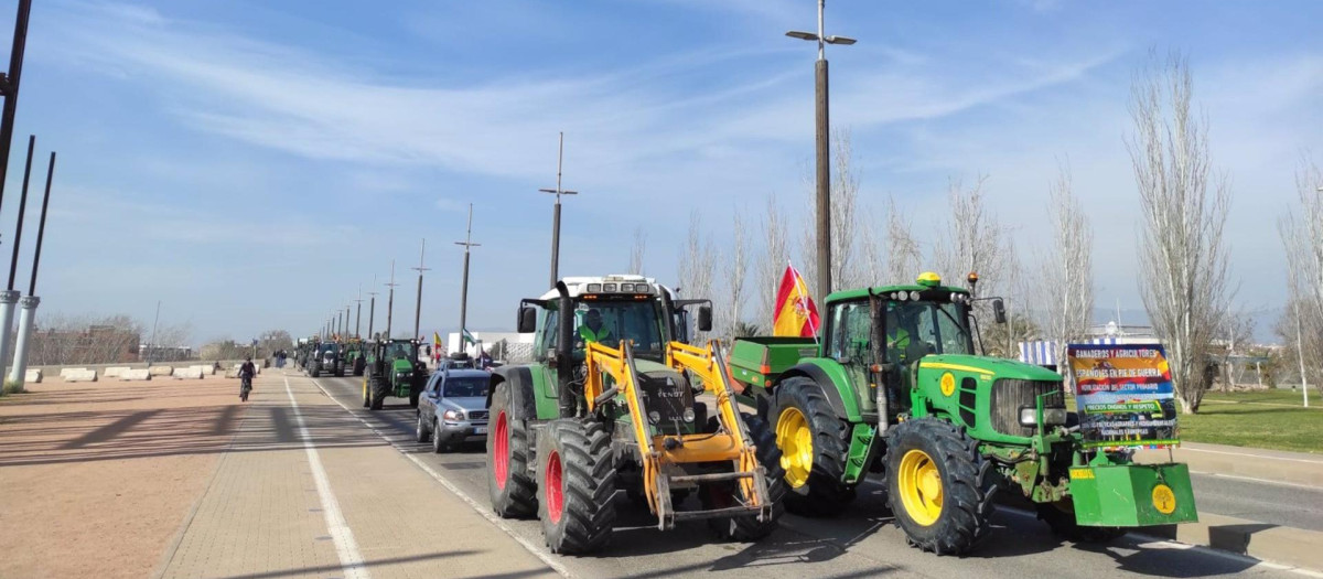 Tractorada por Córdoba del día 6 de febrero en defensa del sector primario.