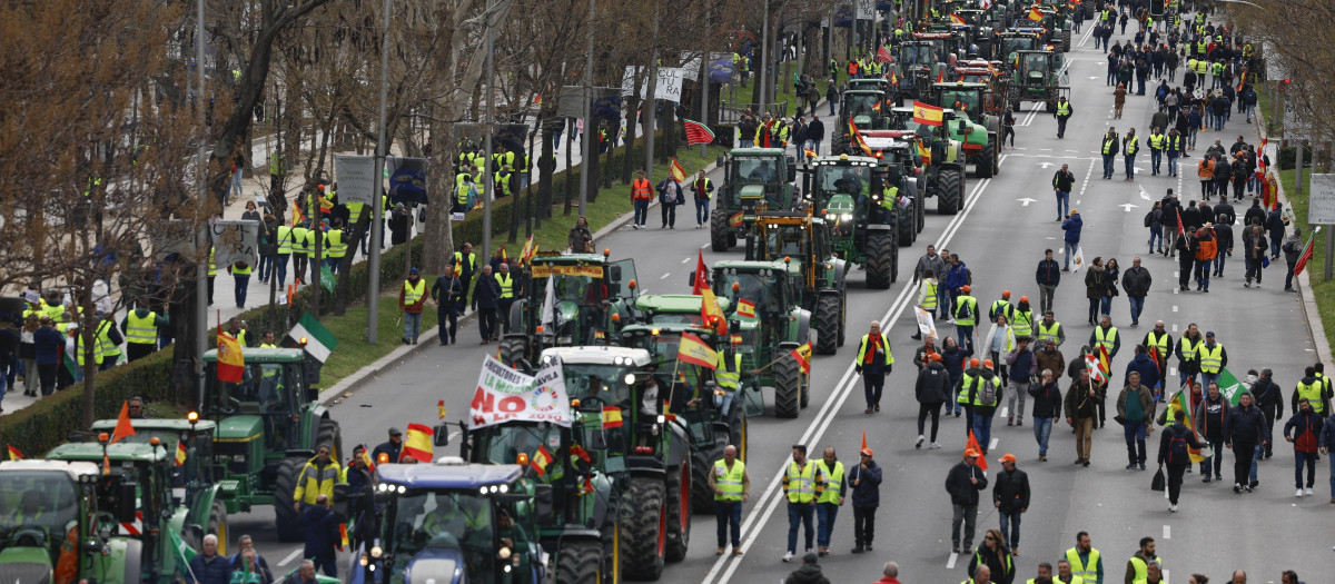 MADRID, 26/02/2024.- Tractores y personas a pie de la protesta agrícola convocada este lunes en la ciudad de Madrid que ha llegado hasta el Ministerio de Agricultura, Pesca y Alimentación, ya en la capital, tras salir a primera hora de la mañana del municipio de Arganda del Rey, en un recorrido que, hasta el momento, se ha desarrollado con "normalidad". EFE/ JJ.Guillén