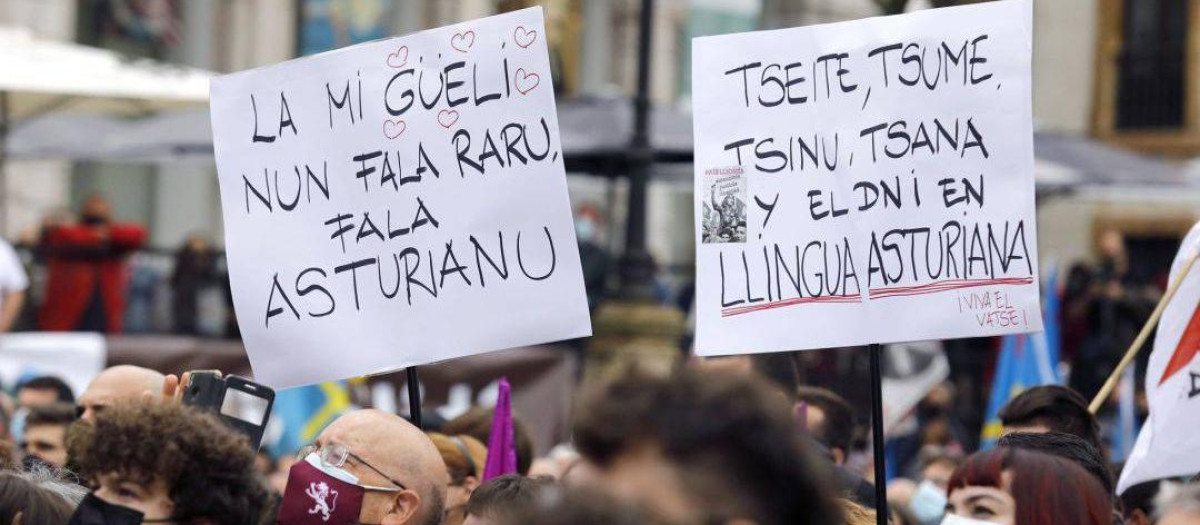 Manifestación a favor de la oficialidad celebrada en Oviedo