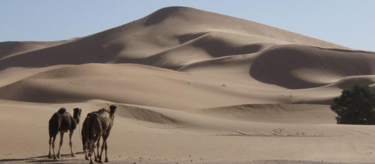 Duna estrella Lala Lallia en Erg Chebbi, Marruecos.
