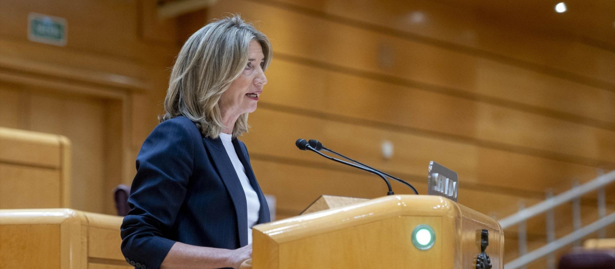 La portavoz del PP en el Senado, Alicia García, interviene durante una sesión plenaria en el Senado, a 25 de enero de 2024, en Madrid (España). La reforma del artículo 49 de la Constitución, referido a las personas con discapacidad, concluye hoy su tramitación en el Senado. Consensuada entre PSOE y PP, esta proposición de ley responde a una demanda del movimiento de la discapacidad articulado en torno al Comité Español de Representantes de Personas con Discapacidad (Cermi). Entre otros puntos, el nuevo artículo recoge la sustitución del término ‘disminuido’ por la expresión 'personas con discapacidad' y una especial atención para los menores y las mujeres con discapacidad.
25 ENERO 2024;SENADO;PLENO;POLÍTICA;DISCAPACIDAD;LEY;PROPOSICIÓN;ARTÍCULO
Alberto Ortega / Europa Press
(Foto de ARCHIVO)
25/1/2024