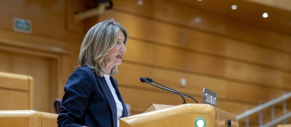 La portavoz del PP en el Senado, Alicia García, interviene durante una sesión plenaria en el Senado, a 25 de enero de 2024, en Madrid (España). La reforma del artículo 49 de la Constitución, referido a las personas con discapacidad, concluye hoy su tramitación en el Senado. Consensuada entre PSOE y PP, esta proposición de ley responde a una demanda del movimiento de la discapacidad articulado en torno al Comité Español de Representantes de Personas con Discapacidad (Cermi). Entre otros puntos, el nuevo artículo recoge la sustitución del término ‘disminuido’ por la expresión 'personas con discapacidad' y una especial atención para los menores y las mujeres con discapacidad.
25 ENERO 2024;SENADO;PLENO;POLÍTICA;DISCAPACIDAD;LEY;PROPOSICIÓN;ARTÍCULO
Alberto Ortega / Europa Press
(Foto de ARCHIVO)
25/1/2024