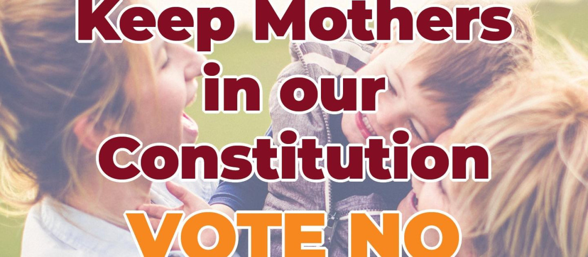 Campaña de rechazo a la exclusión del término madre de la Constitución en Irlanda