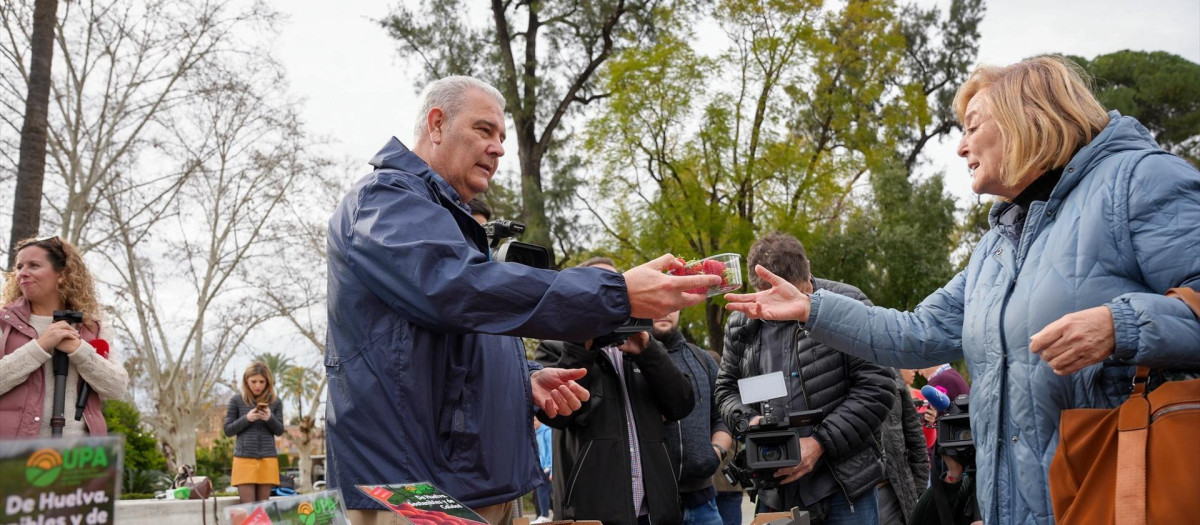 Representantes de UPA reparten fresas de Huelva a los viandantes