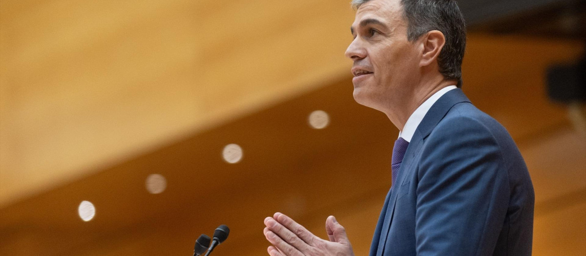 El presidente del Gobierno Pedro Sánchez, en el Senado