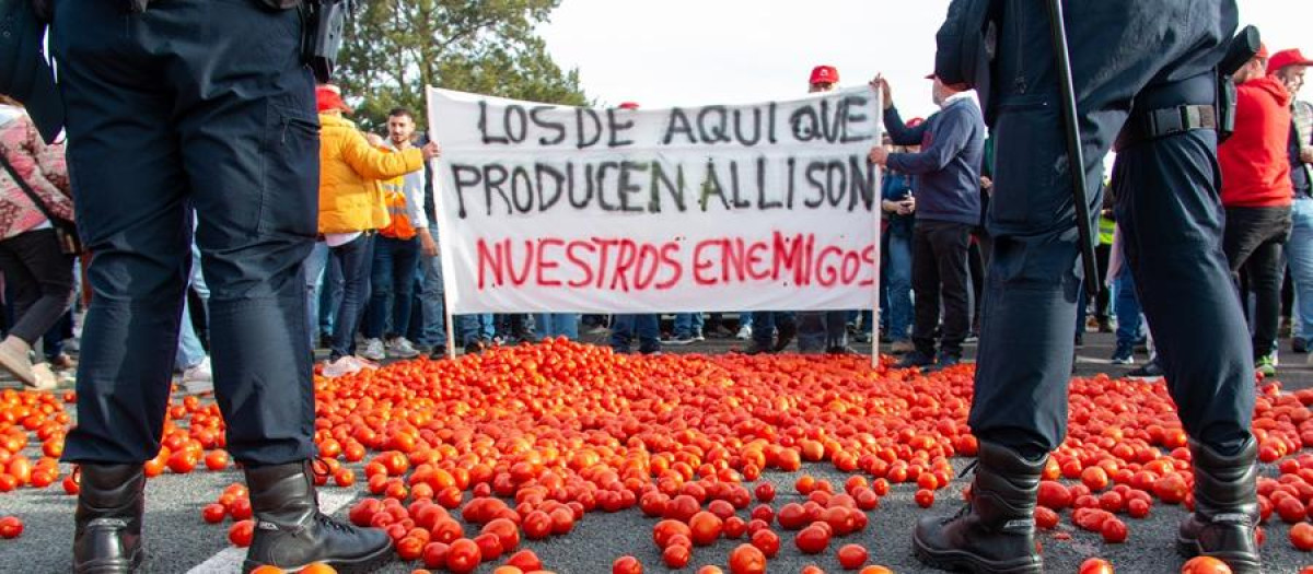 Agricultores arrojan tomates durante una concentración el puerto de Motril (Granada)