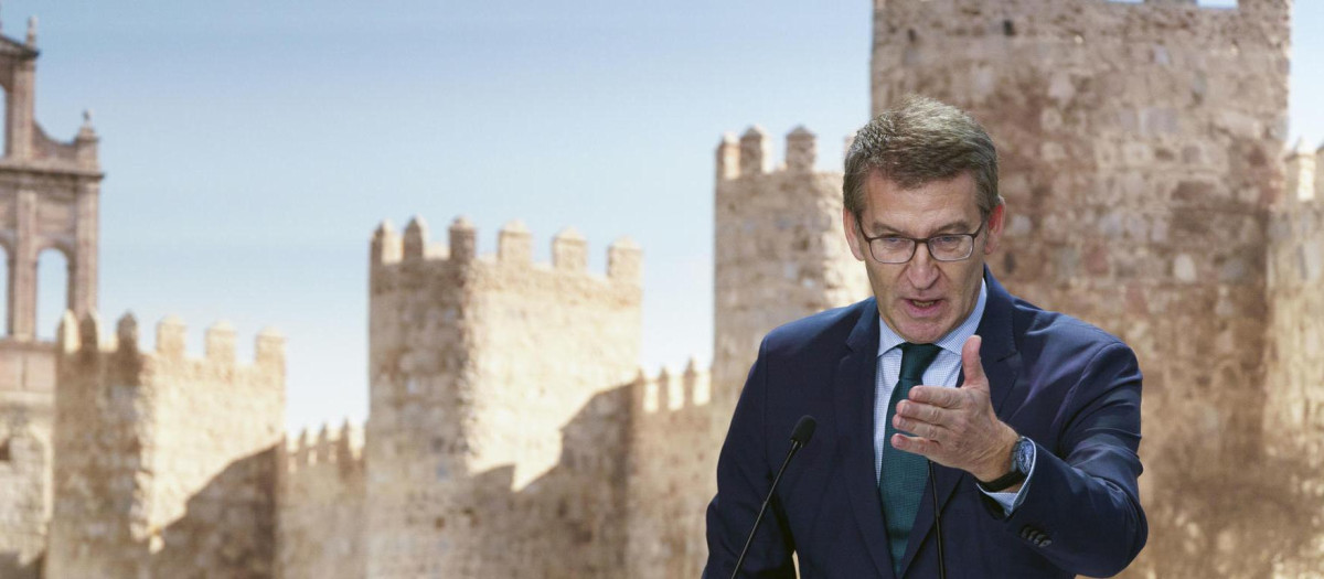El presidente del Partido Popular, Alberto Núñez Feijóo