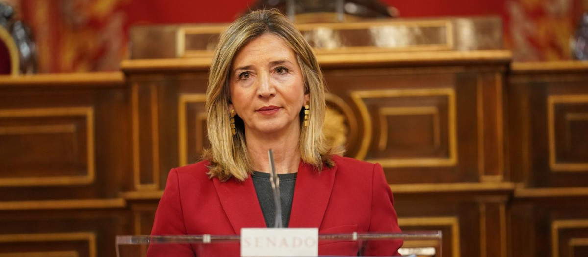 La portavoz del Partido Popular en el Senado, Alicia García Rodríguez