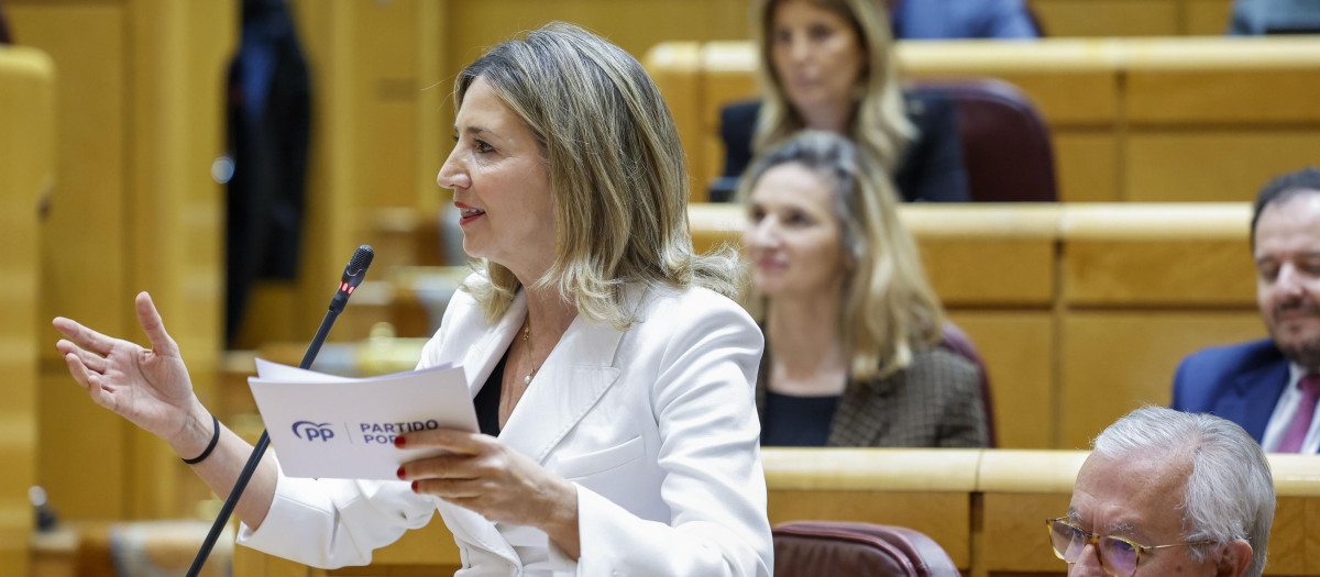 La portavoz del PP en el Senado, Alicia García