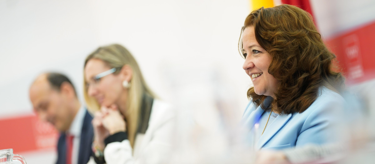 La consejera de Sanidad de Madrid, Fátima Matute