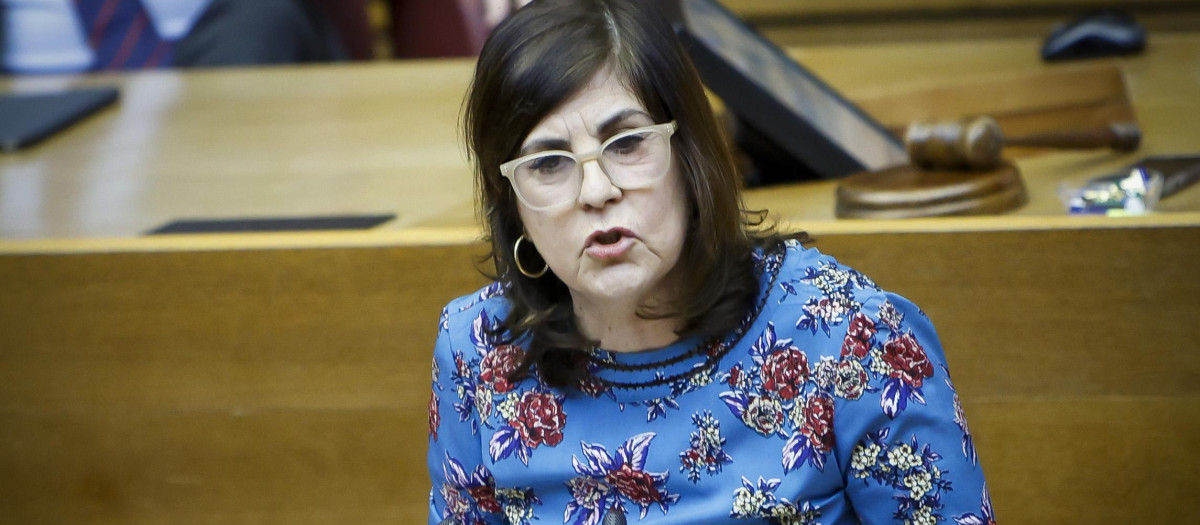 La presidenta de Hablamos Español, Gloria Lago, durante su intervención e las Cortes Valencianas