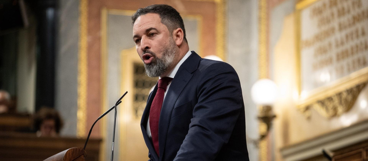 Santiago Abascal, en el Congreso de los Diputados