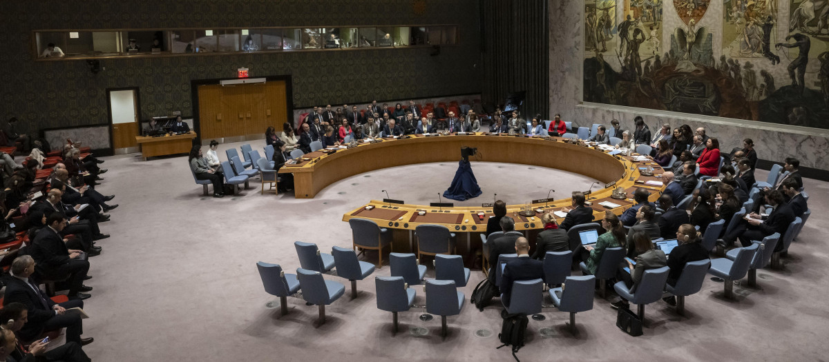 El Consejo de Seguridad de la ONU