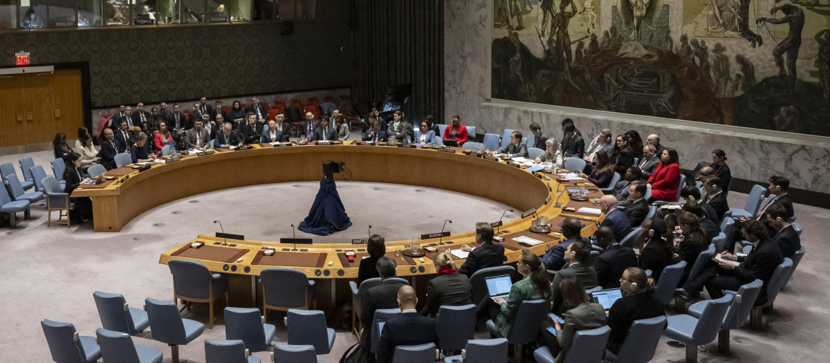 El Consejo de Seguridad de la ONU