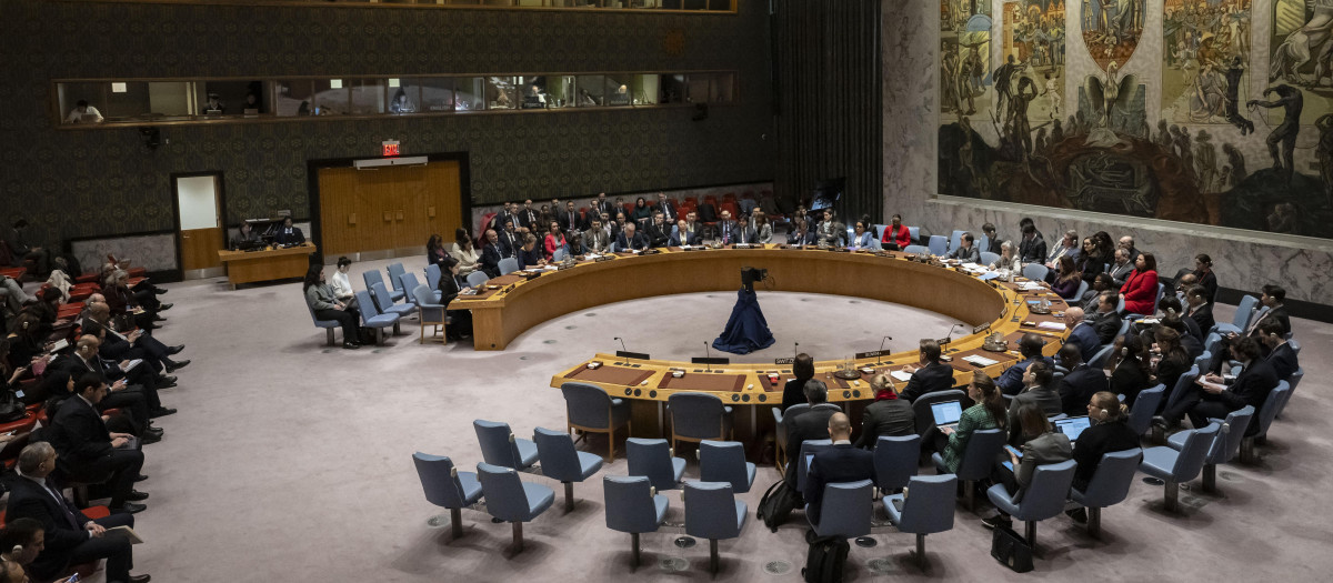 El Consejo de Seguridad de la ONU