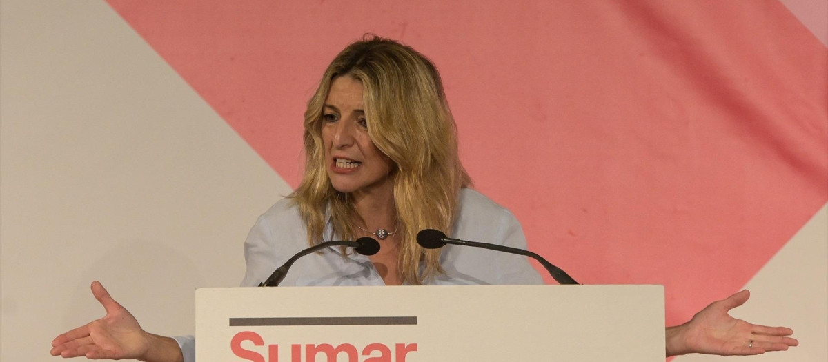 La ministra de Trabajo, Yolanda Díaz, no ha logrado lo deseable.