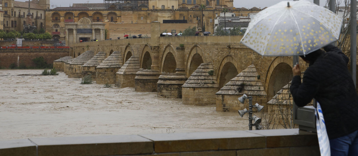 Una persona guarecida bajo un paraguas observa la crecida del río Guadalquivir, este domingo en Córdoba. Con mal tiempo comenzó y con mal tiempo se despide: la Semana Santa de 2024 ha estado marcada por la lluvia, el viento y la nieve en zonas altas a consecuencia de la borrasca Nelson, que este domingo va suavizando sus efectos, con menos incidencias que en días anteriores.