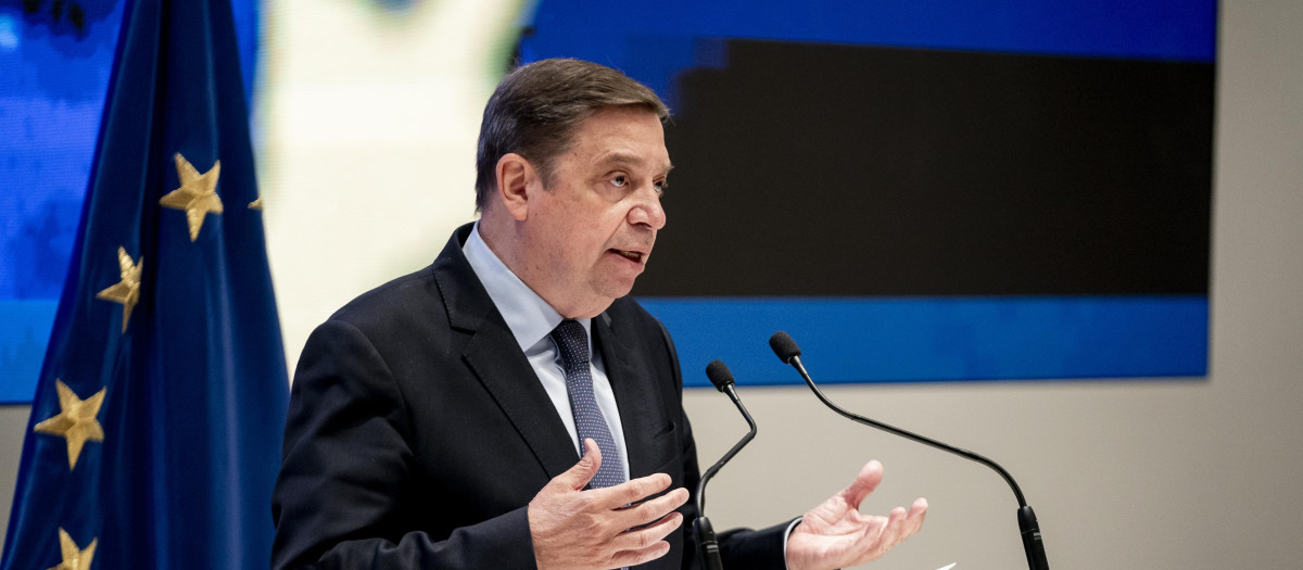 El ministro de Agricultura, Pesca y Alimentación, Luis Planas