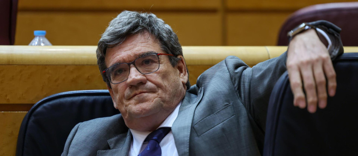 El ministro para la Transformación Digital y de la Función Pública, José Luis Escrivá, en el Senado