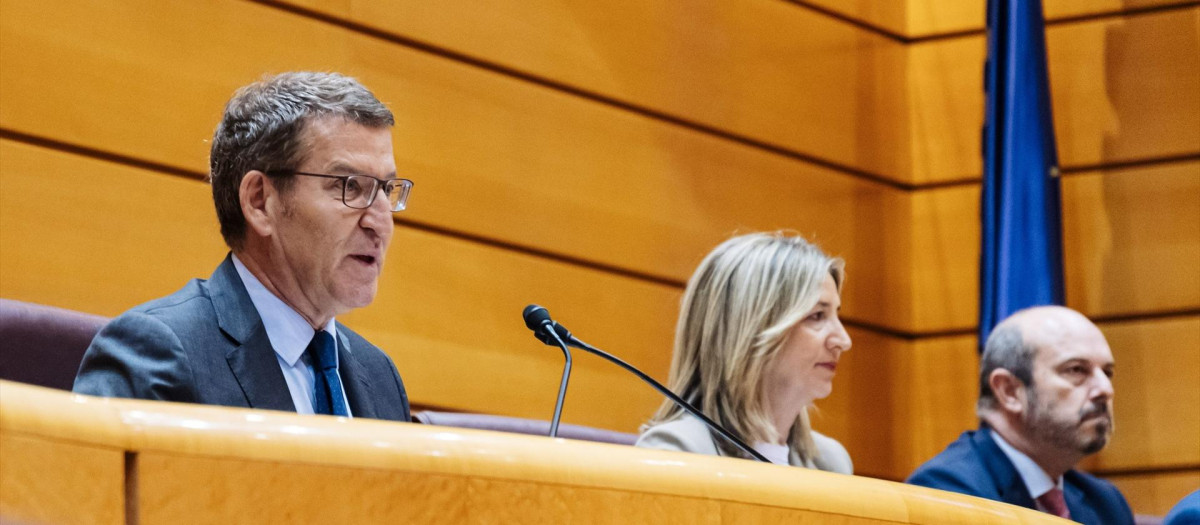 El presidente del Partido Popular, Alberto Núñez Feijóo (i), junto a la portavoz del PP en el Senado, Alicia García (c) y el presidente del Senado, Pedro Rollán (d)
