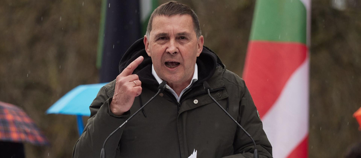 El coordinador general de la coalición, Arnaldo Otegi