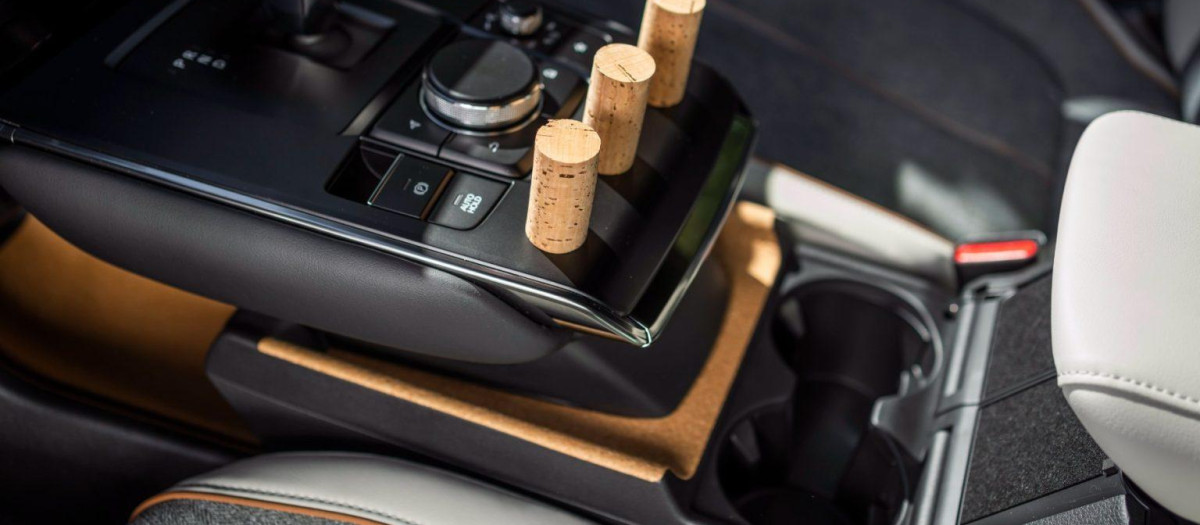 Poner un cocho o más dentro del coche, un truco ingenioso