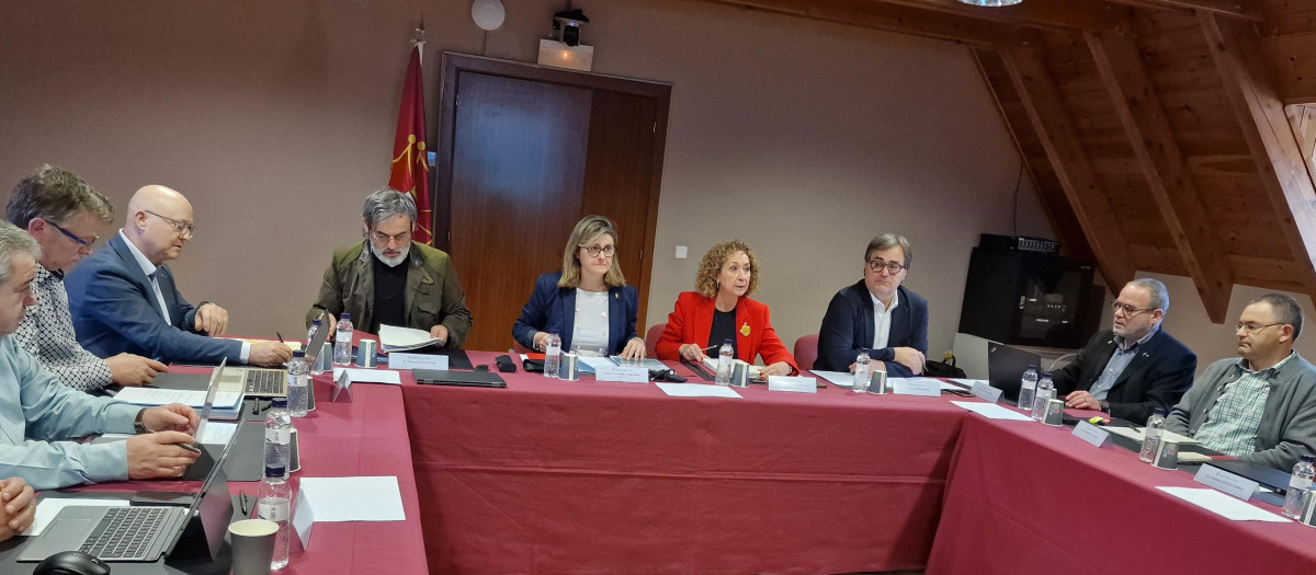 La consejera de Territorio, Ester Capella, este lunes en Vielha.