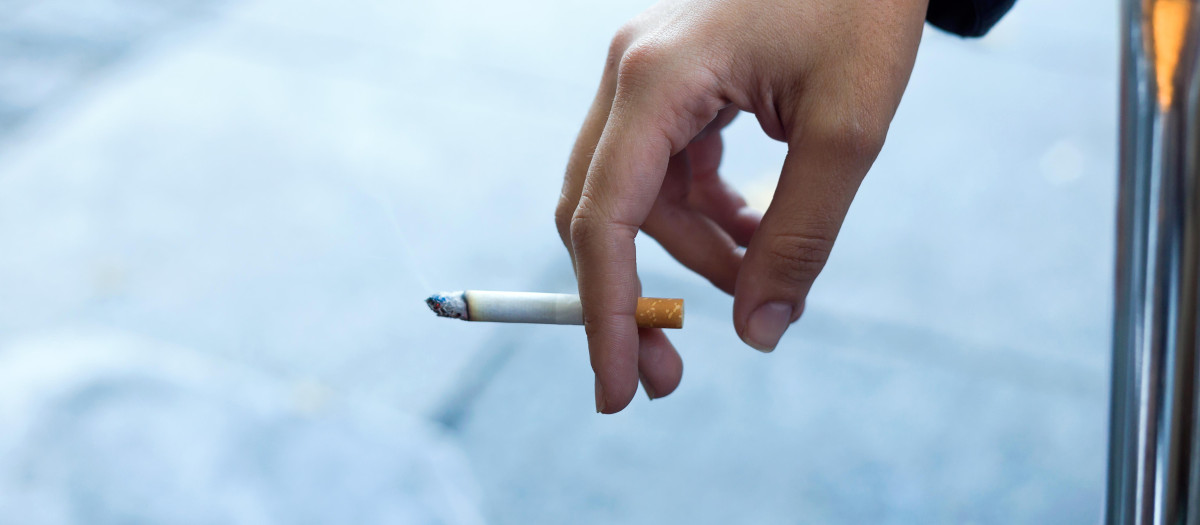 tabaco