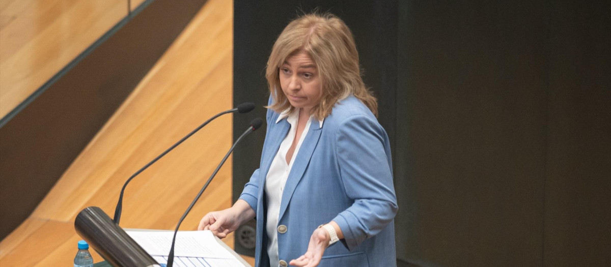 La vicealcaldesa de Madrid y delegada de Seguridad y Emergencias, Inma Sanz