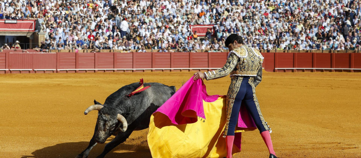 El diestro Manuel Jesús 'El Cid' da un pase a «Dorador», primer toro de su lote, reconocido con la vuelta al ruedo