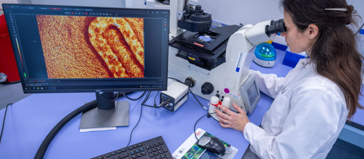 Análisis en un laboratorio