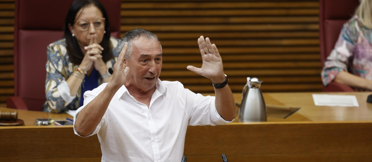 El portavoz de Compromís en las Cortes Valencianas, Joan Baldoví